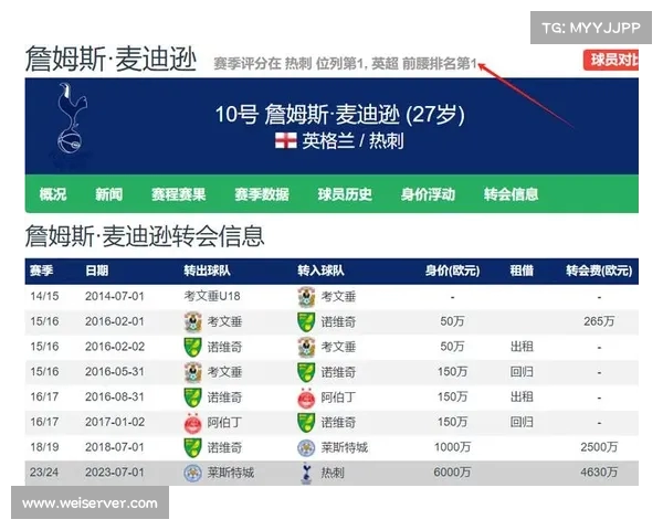 热刺麦迪逊伤情严峻引援锁定10号位与中后卫提升阵容 热刺麦迪逊伤情严峻引援锁定10号位与中后卫提升阵容